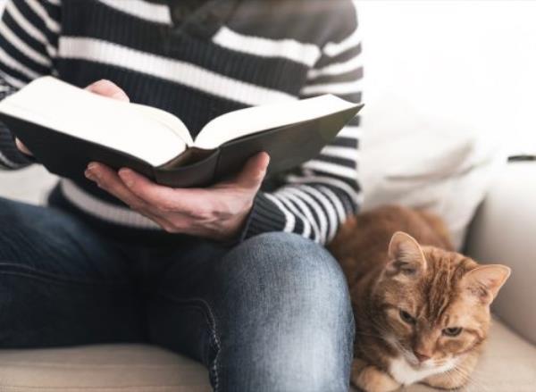 owner reading a book next to his cat